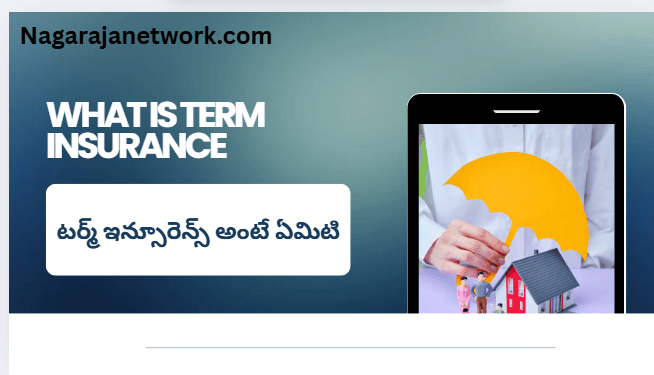 term insurance benifits for family protection